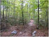 Stara Fužina - Planina Zgornja Grintovica